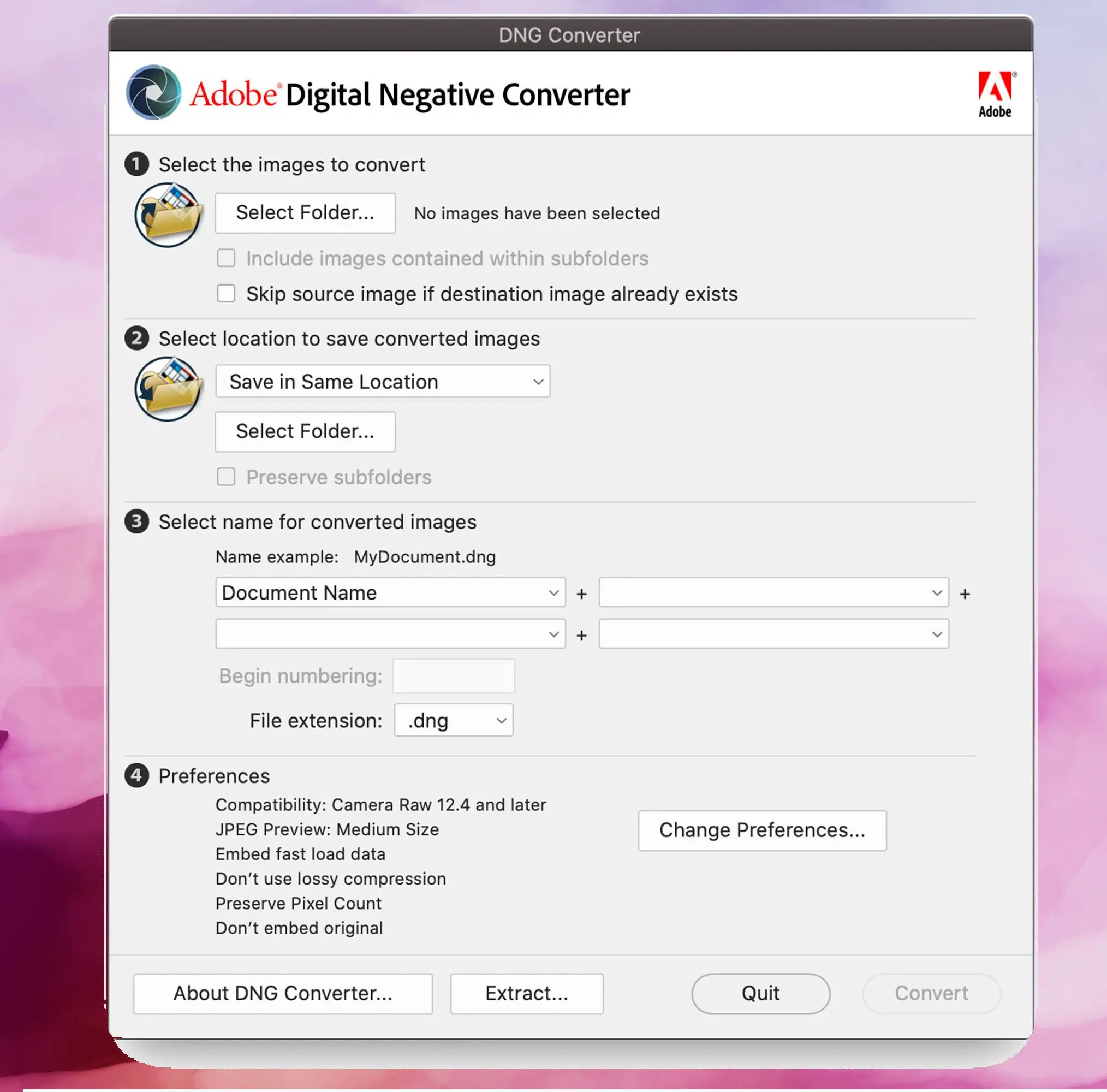 Снимок экрана Adobe DNG Конвертер, Конвертирование изображений DNG в JPEG..