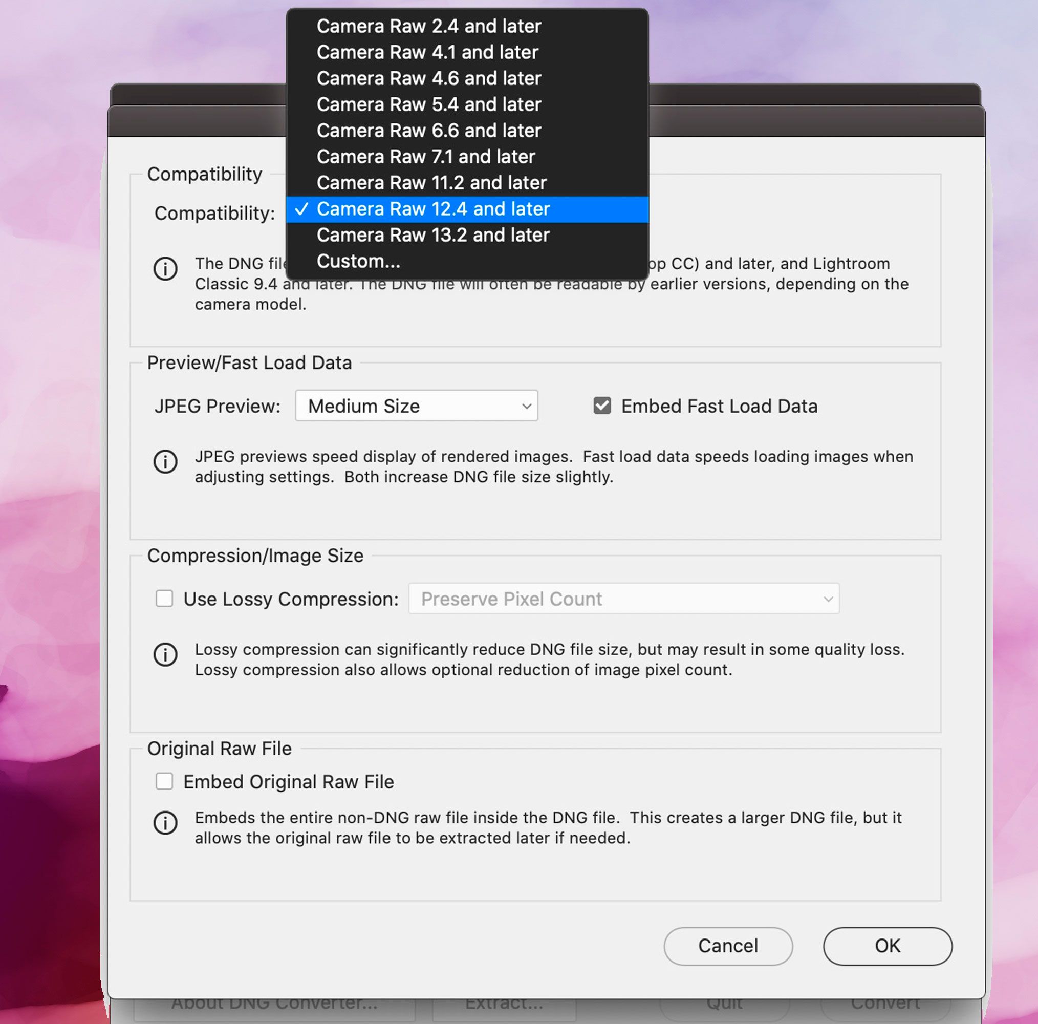 Снимок экрана Adobe DNG Конвертер, Параметры совместимости..