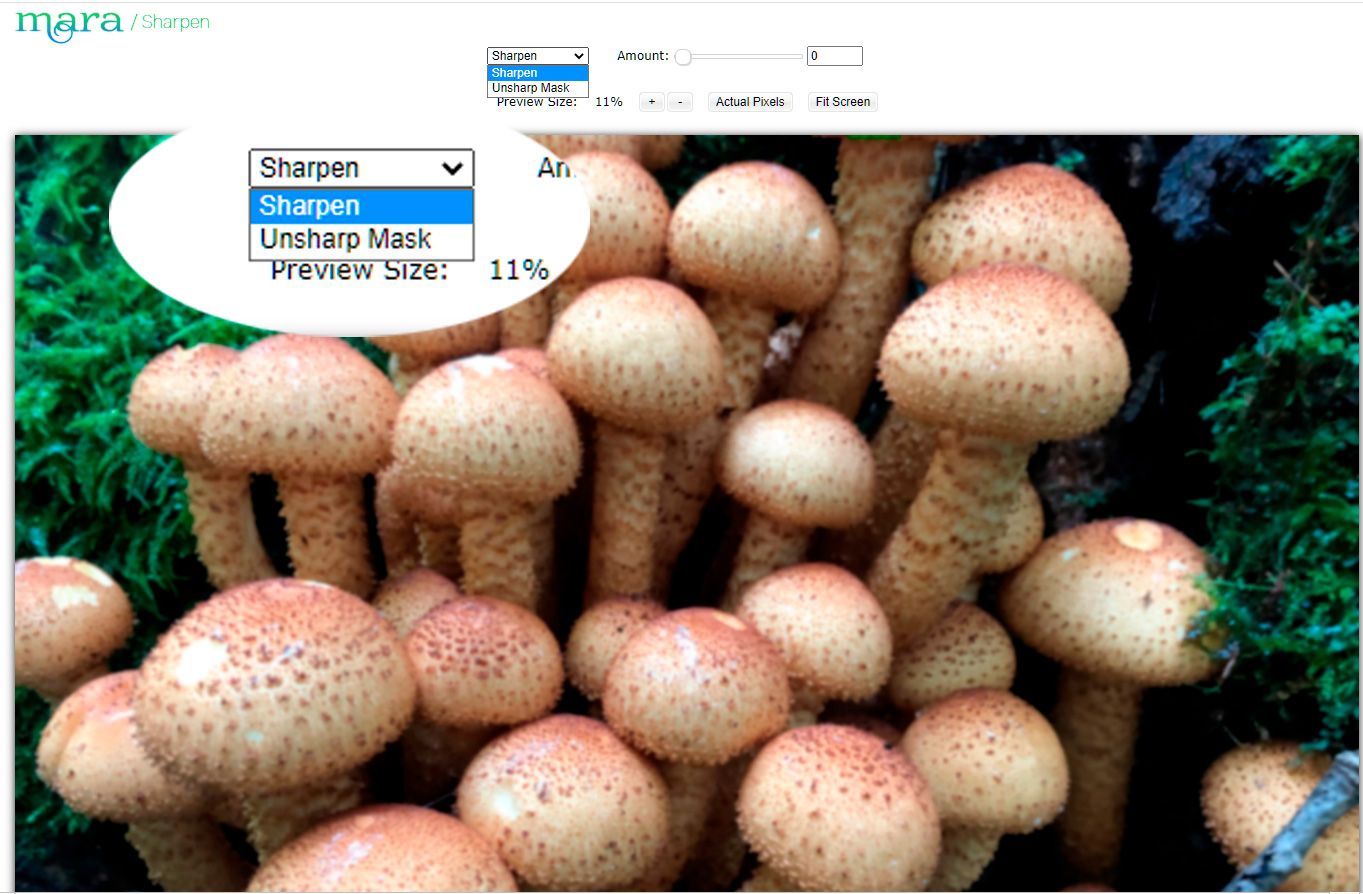 Adjust the sharpness in the online Mara Sharpen editor..