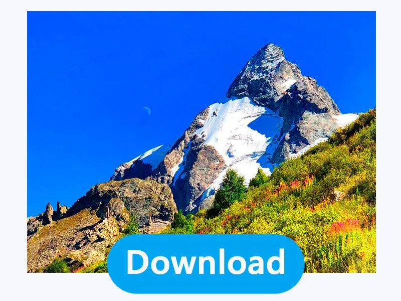 Download the Result.