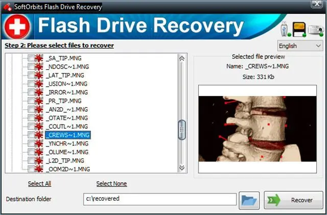 Verbatim stick repair software..