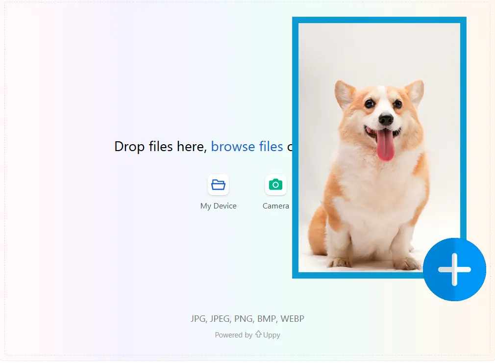 Загрузите ваше изображение.