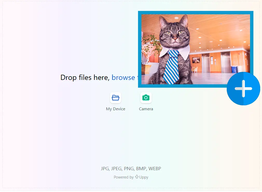 Загрузите первый кадр.