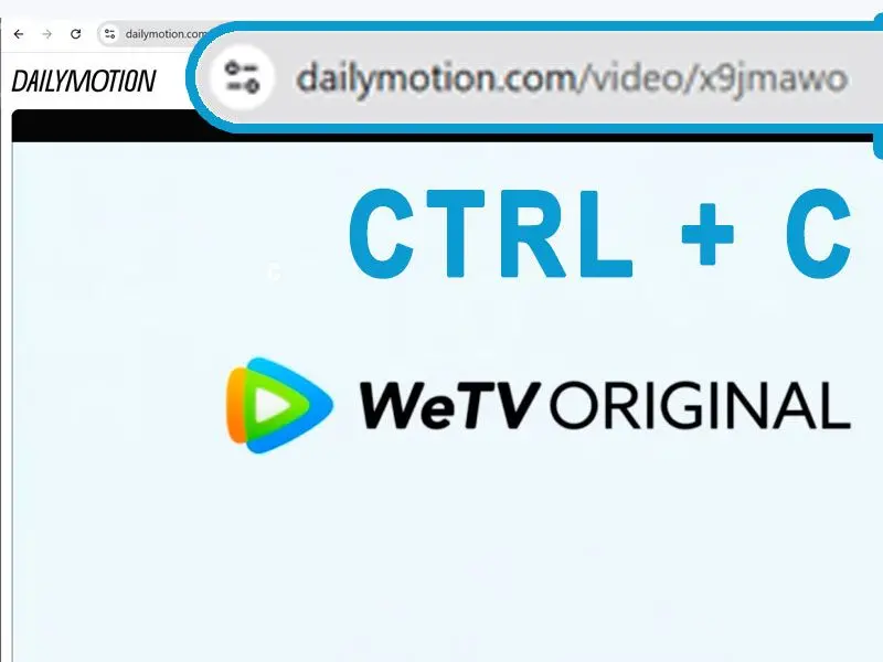 Скопируйте и вставьте URL-адрес видео Dailymotion.