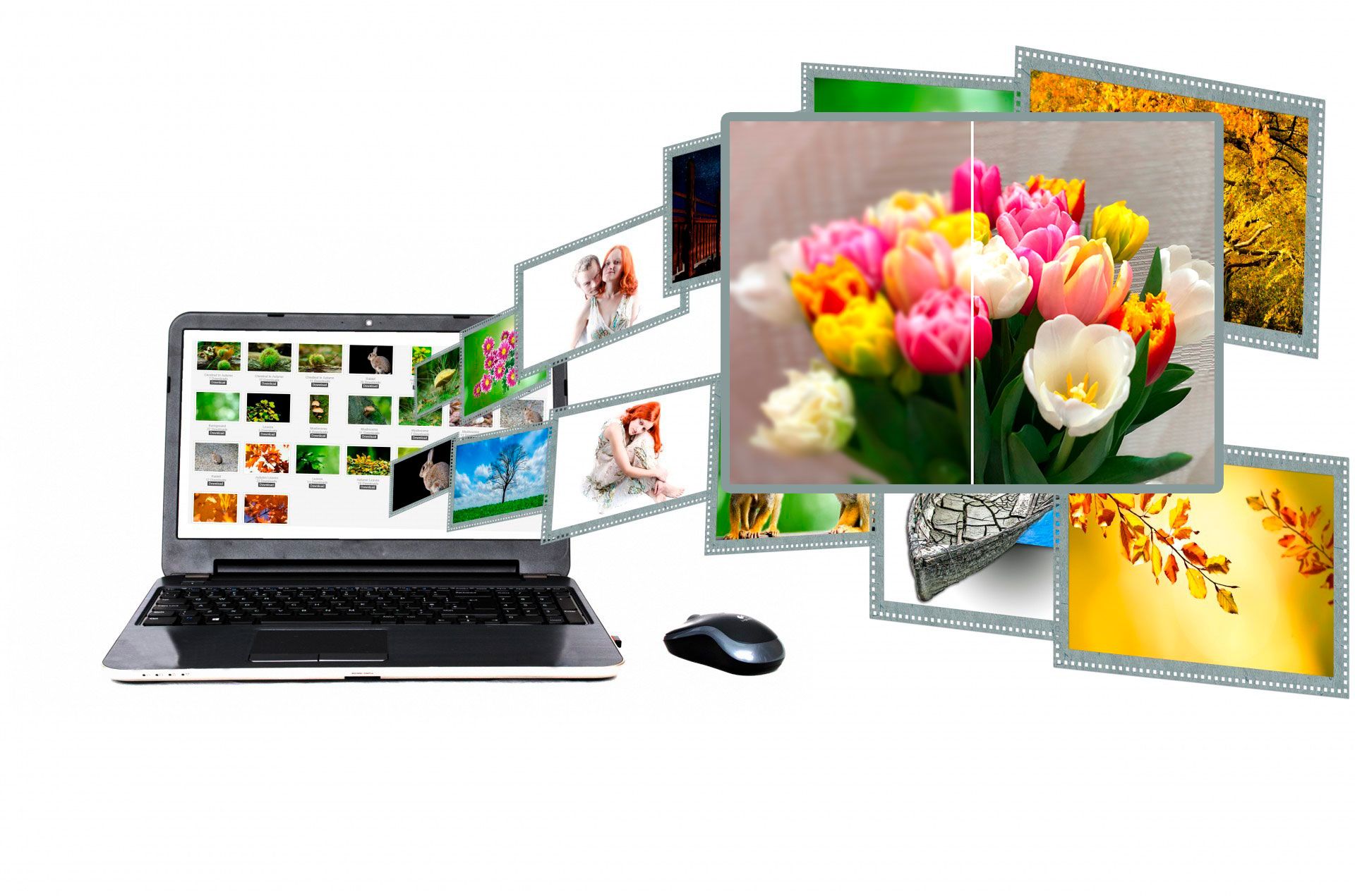 Размытие нескольких фотографий.