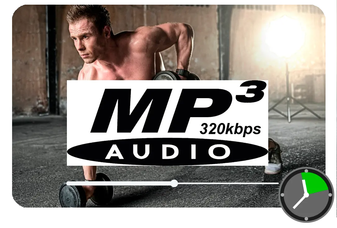 Выберите MP3 в качестве выхода.