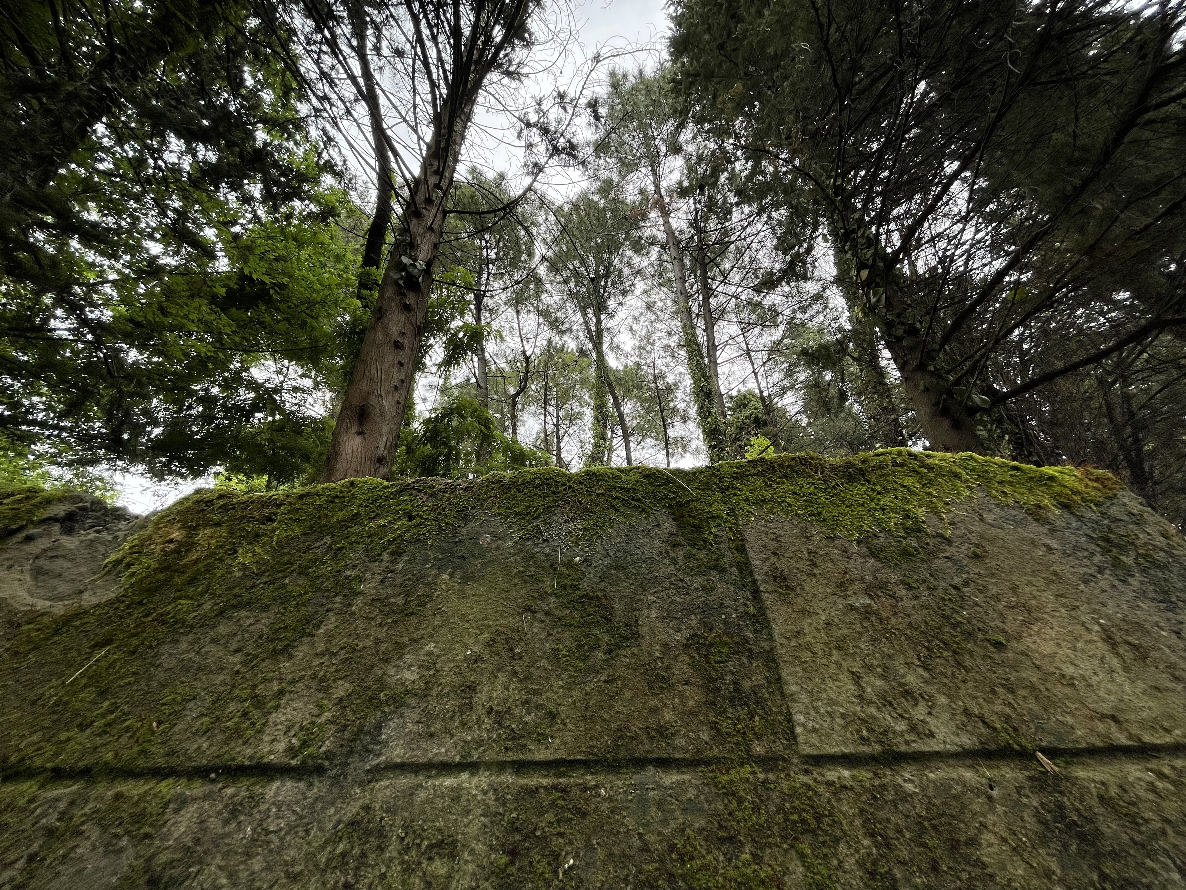 HEIC to JPG Converter