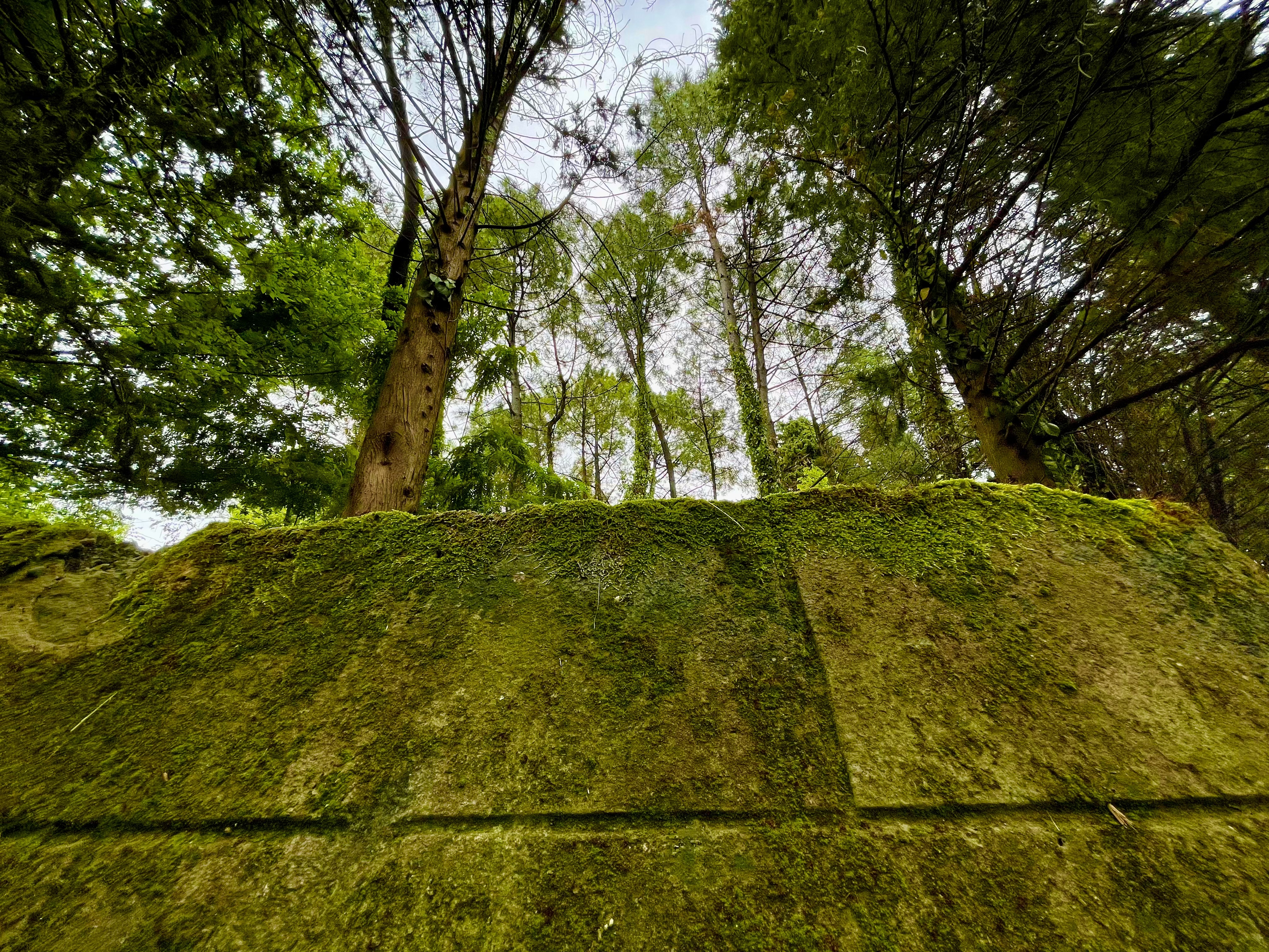 HEIC to JPG Converter