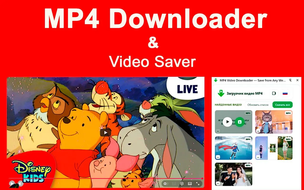 Ограничения MP4 Downloader и расширения Chrome.