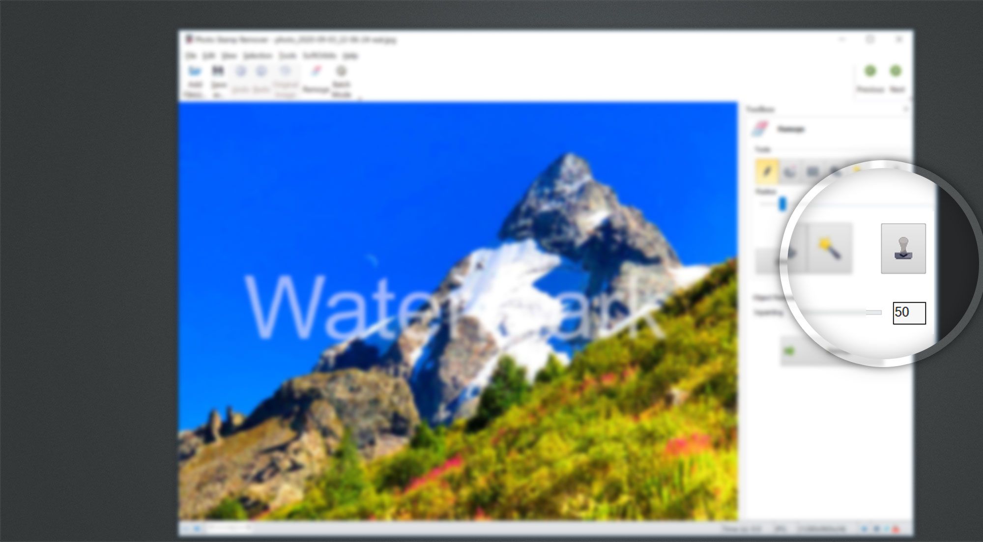 Удалить водяной знак с помощью инструмента клонового штампа.