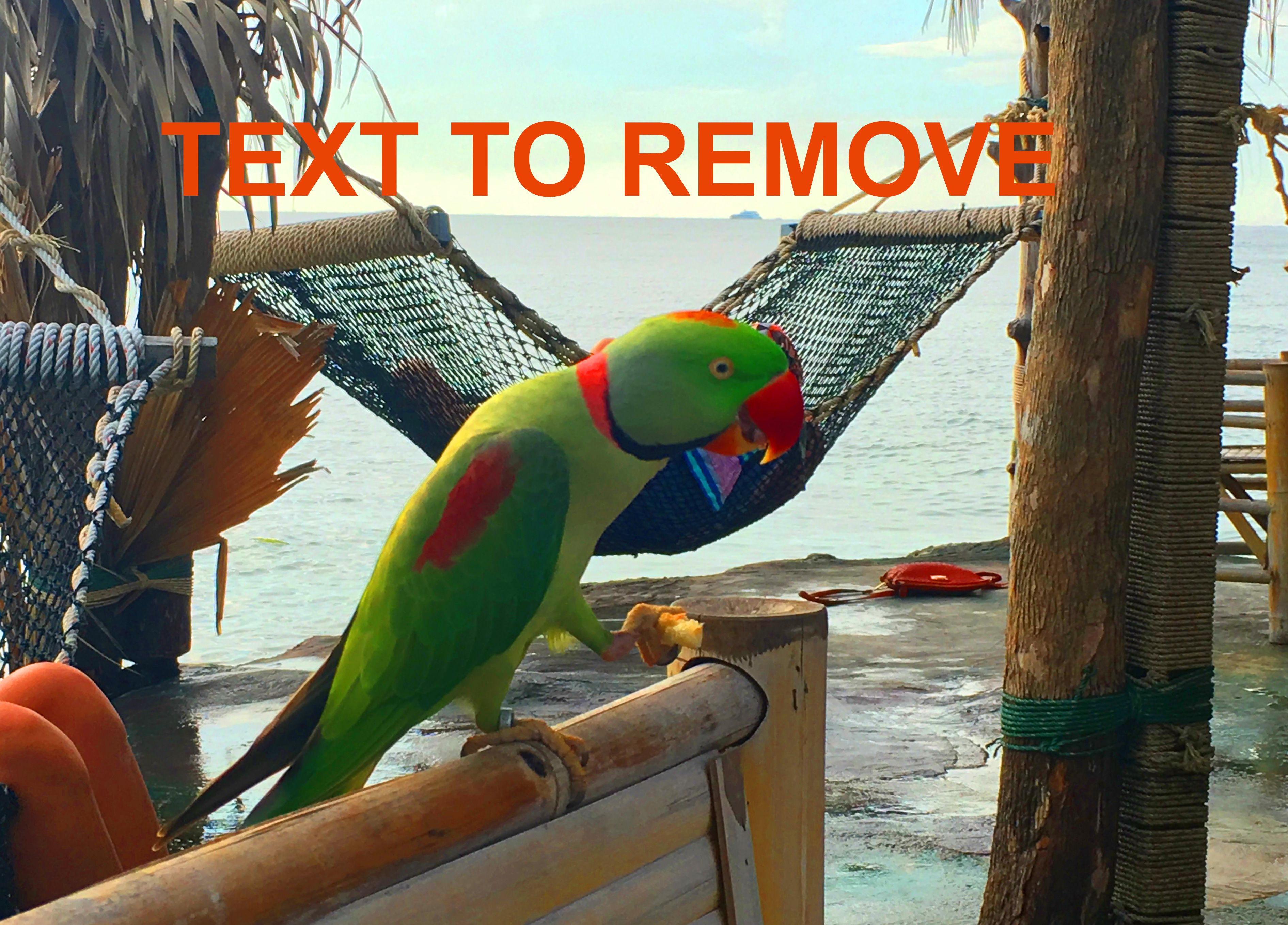 Удалять текст с изображения - до.