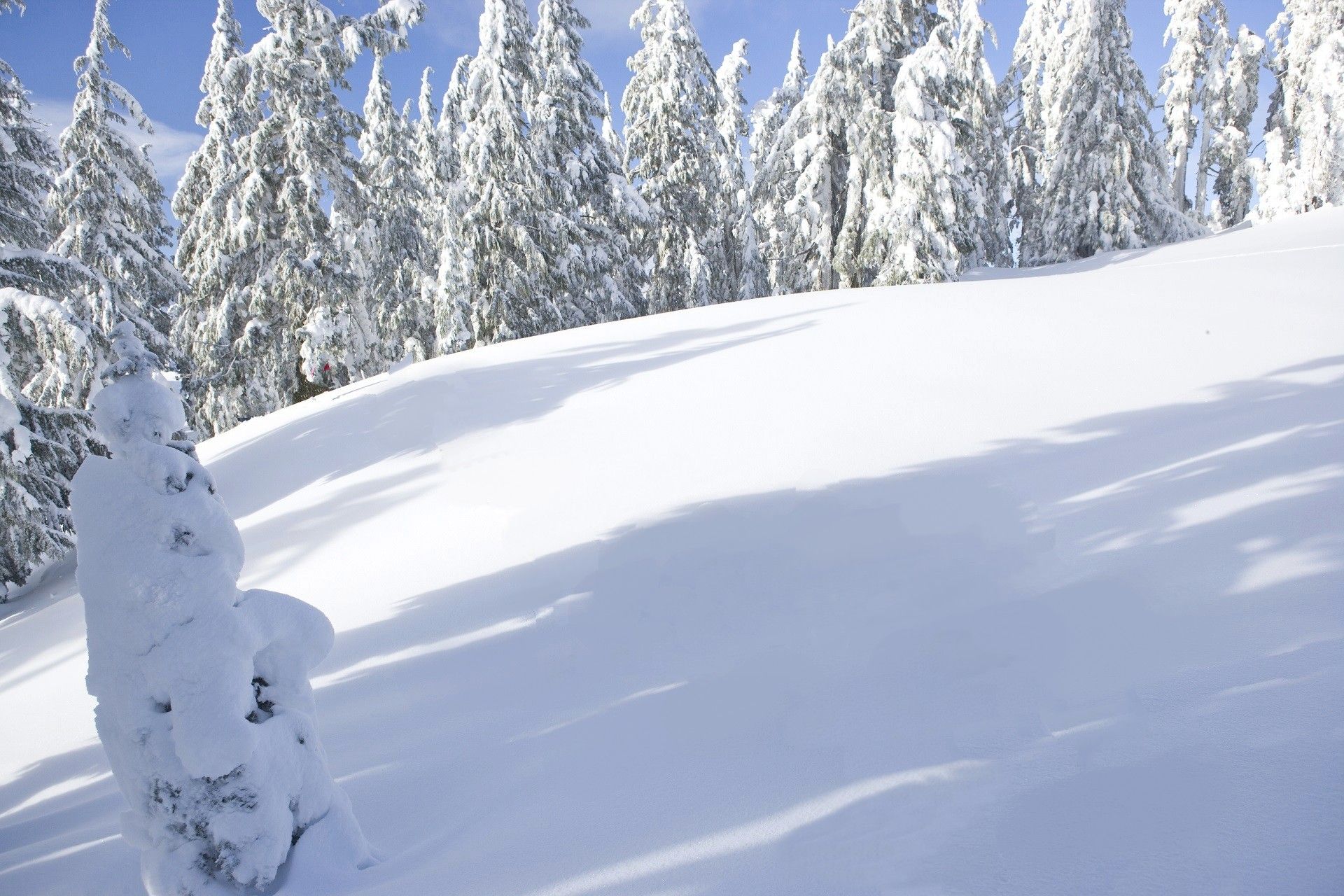 Photo Example.  После.