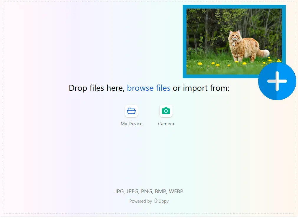 Загрузите эталонное изображение.