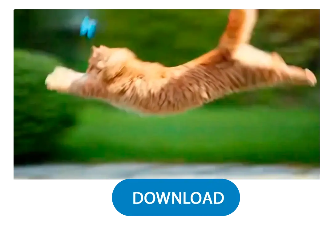 Сгенерируйте & Скачайте.